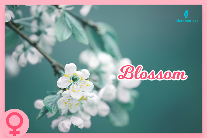 Blossom, Hippie baby names