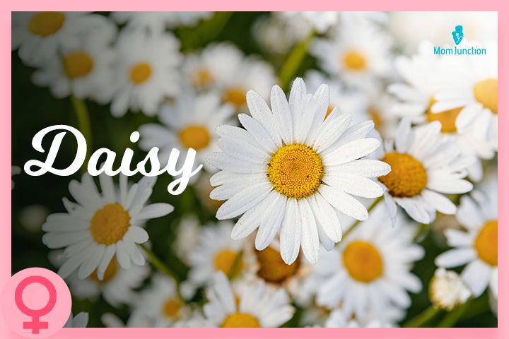Daisy is one of the most unusual flower names.
