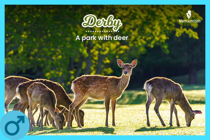 Derby means a park with deer