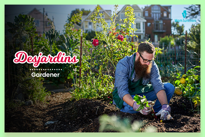 Desjardins is of French origin and means gardener