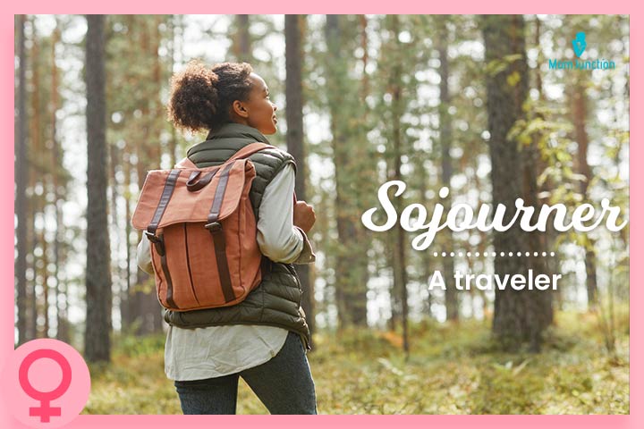 Sojourner, names for travelers