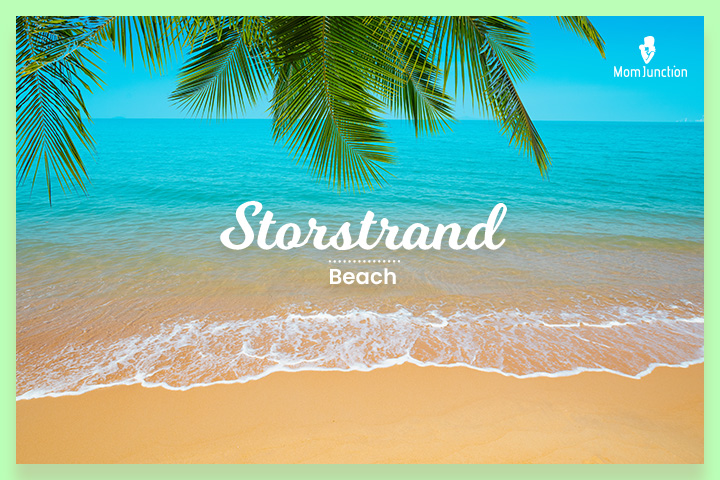 Storstrand, Norwegian last names