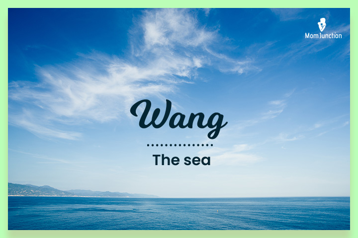 Wang is a Chinese surname