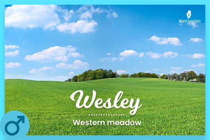 Wesley, Redneck baby name for boys