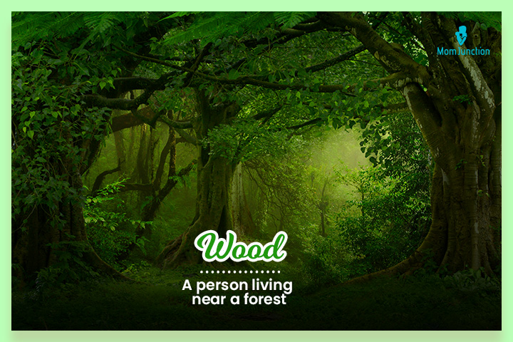 Wood used to be the surname of people living near the forest